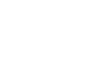 Executive Voice